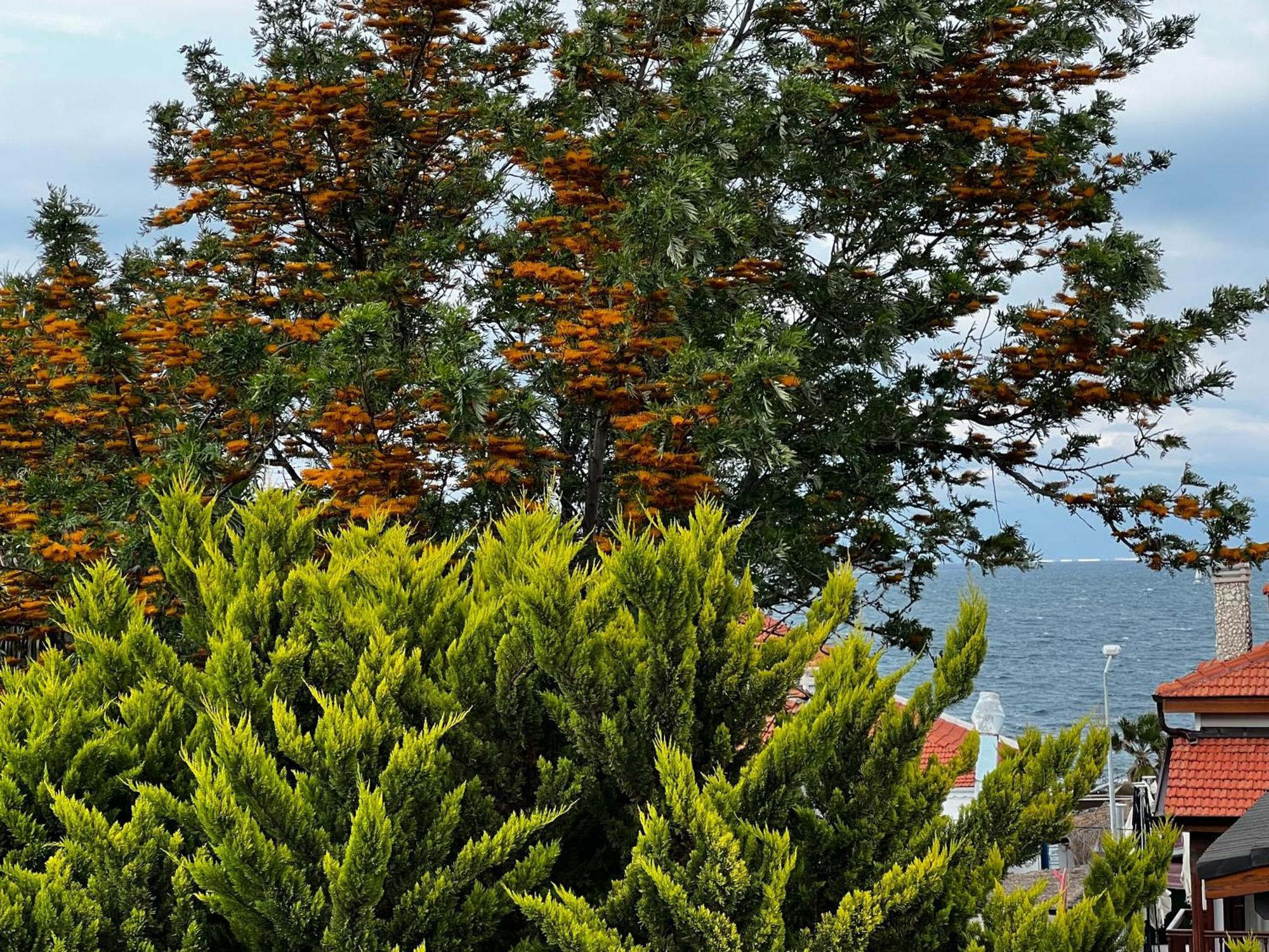 Ada Konak Otel Urla Exterior photo